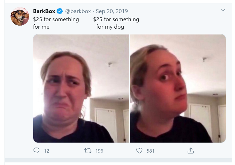 barkbox meme marketing
