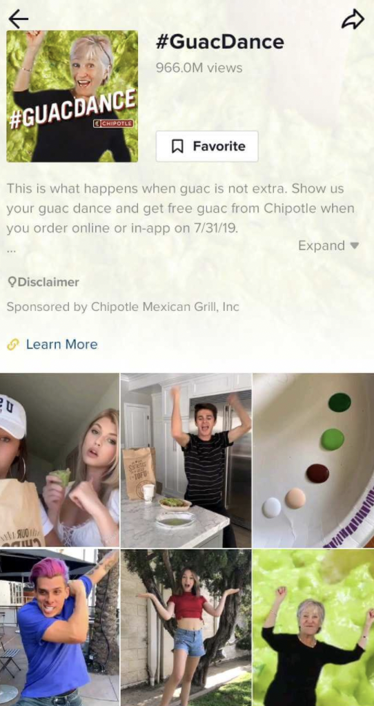 chipotle tiktok marketing campaign